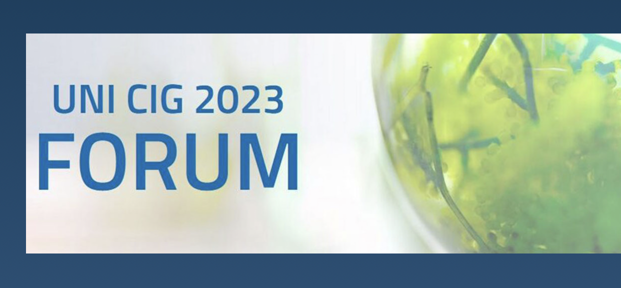 Forum UNI-CIG 2023 - Il sistema gas nazionale come sostegno resiliente alle sfide del cambiamento